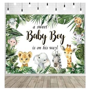 A Sweet Baby Boy is On His Way Background 10 x 8,